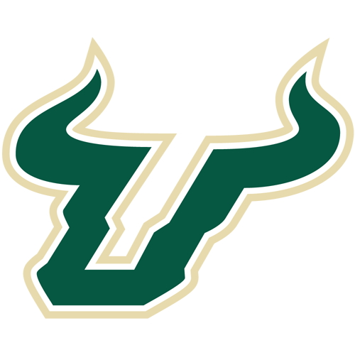 Toros del sur de la Florida
