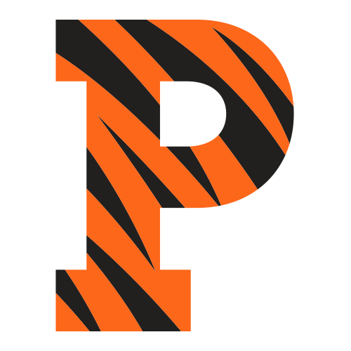 Tigres de Princeton