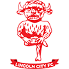 Ciudad de Lincoln
