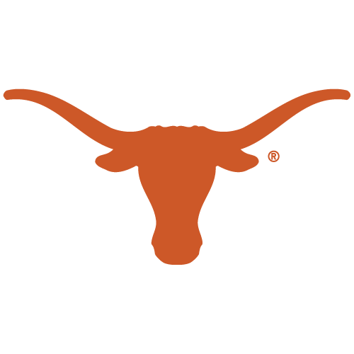 Toros largos de Texas