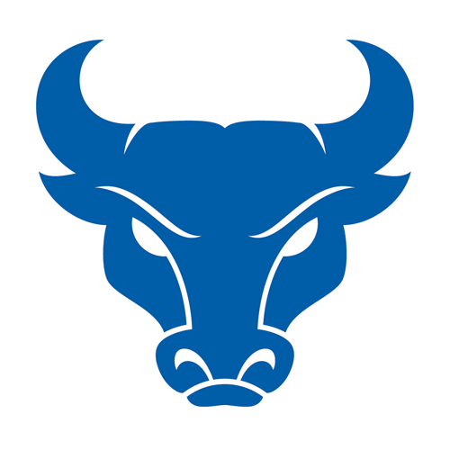 Toro de Búfalo