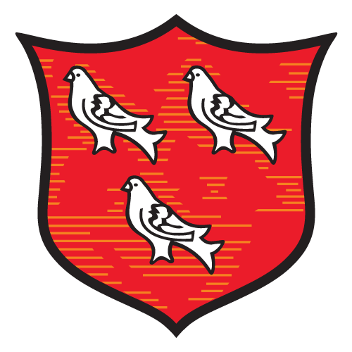 team logo