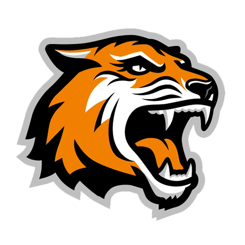 Tigres de RIT