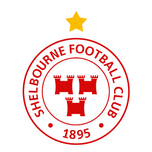 team logo