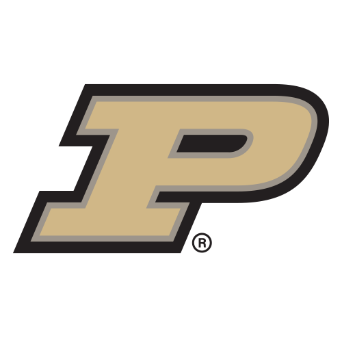 Hervidores de Purdue
