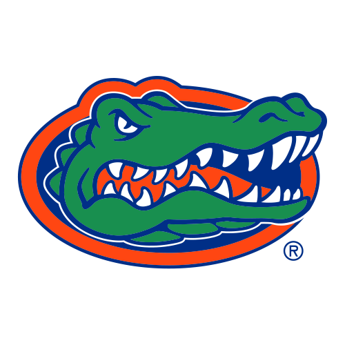 Cocodrilos de Florida